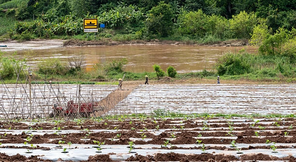 Agriculture, Food Security and Rural Development