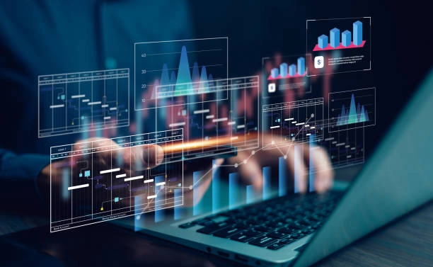Training on Mastering ERP Systems for Business Intelligence and Analytics