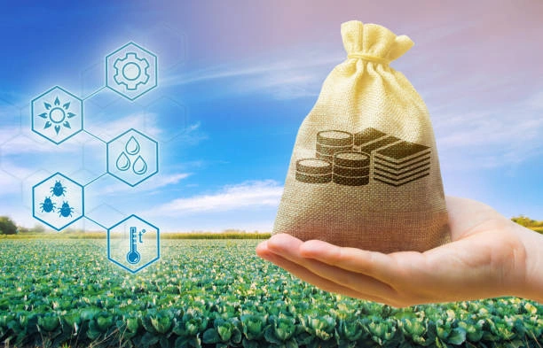 Training on Agribusiness Finance and Risk Management