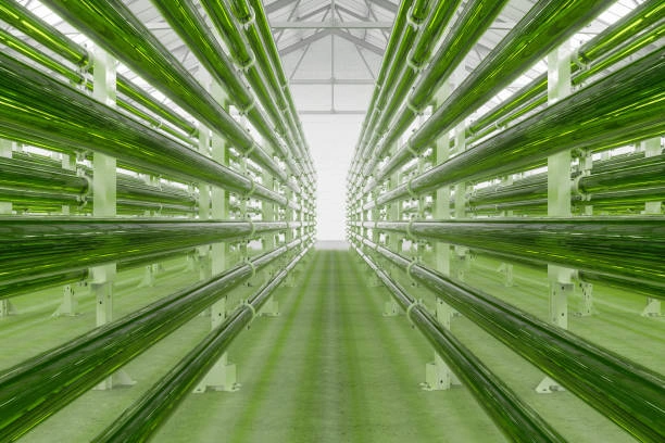 Training on Green and Sustainable Storage