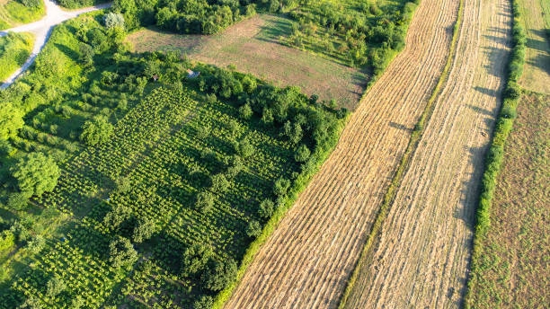 Training on Agroforestry Systems and Practices for Sustainable Land Use