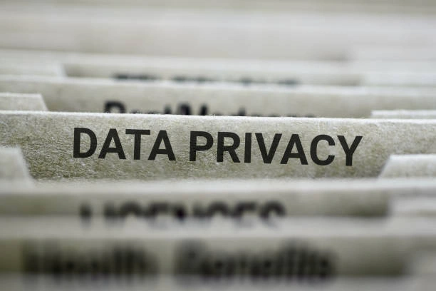 Training on Data Governance, Privacy & Integrity in Artificial Intelligence (AI)
